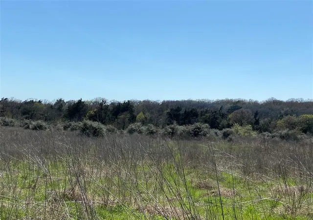 13th image of 1111 Luu Rd, Calvert, TX 77837 | MLS# 51643380