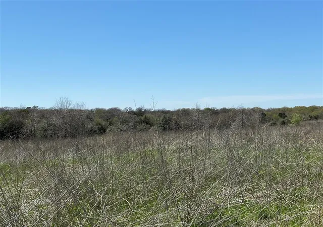 3rd image of 1111 Luu Rd, Calvert, TX 77837 | MLS# 51643380