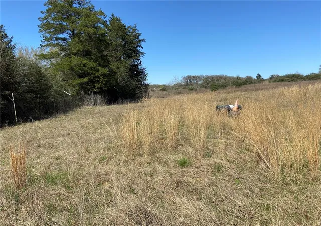 5th image of 1111 Luu Rd, Calvert, TX 77837 | MLS# 51643380