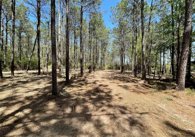 Land for sale at 15899 Wood Grv Way, Willis, TX 77378 | MLS# 74402241