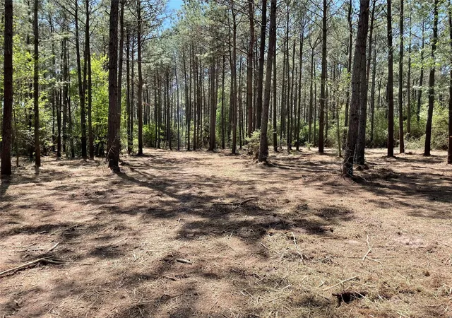 Photo 1 of Land for sale at 15899 Wood Grv Way, Willis, TX 77378 | MLS# 74402241 | Listing updated on 2026-09-21