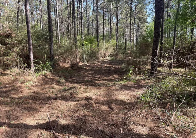 Photo 2 of Land for sale at 15899 Wood Grv Way, Willis, TX 77378 | MLS# 74402241 | Listing updated on 2026-09-21