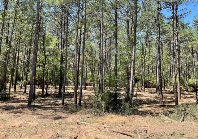 Photo 3 of Land for sale at 15899 Wood Grv Way, Willis, TX 77378 | MLS# 74402241 | Listing updated on 2026-09-21