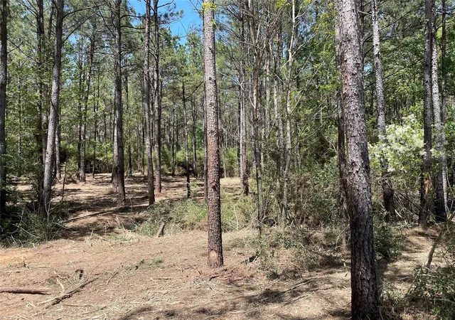 Photo 4 of Land for sale at 15899 Wood Grv Way, Willis, TX 77378 | MLS# 74402241 | Listing updated on 2026-09-21