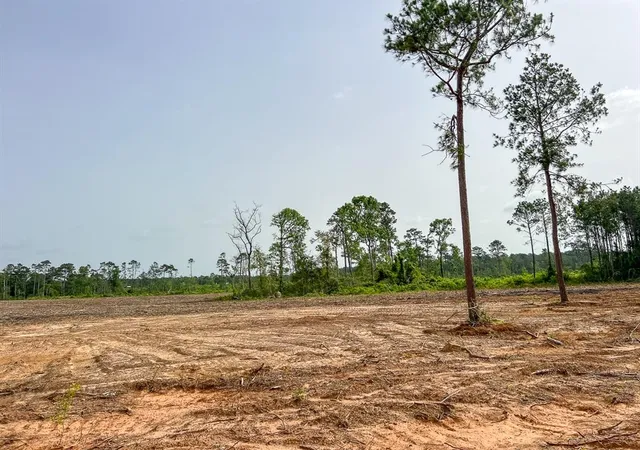 10th image of 3 Old Salem Church Road, Willis, TX 77378 | MLS# 24351663