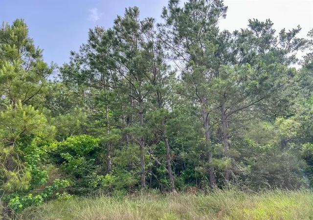 2nd image of 3 Old Salem Church Road, Willis, TX 77378 | MLS# 24351663