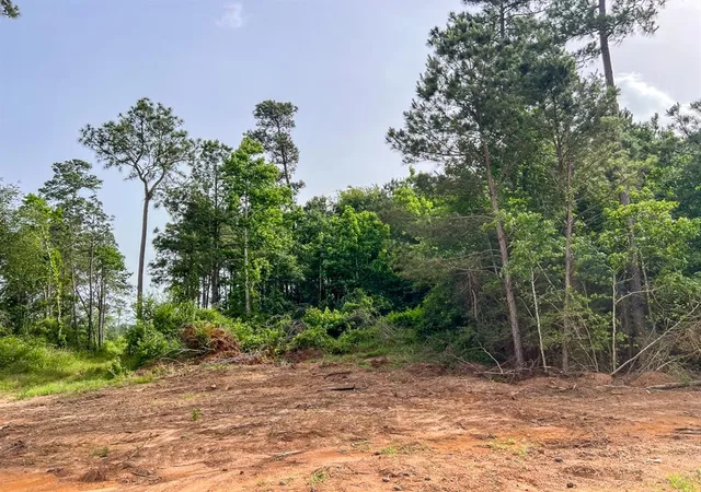 Photo 2 of Land for sale at 3 Old Salem Church Rd, Willis, TX 77378 | MLS# 24351663 | Listing updated on 2026-08-12