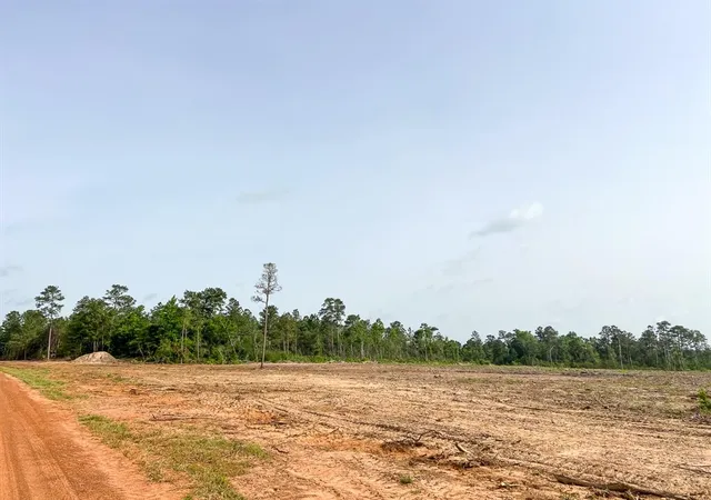 Photo 4 of Land for sale at 3 Old Salem Church Rd, Willis, TX 77378 | MLS# 24351663 | Listing updated on 2026-08-12