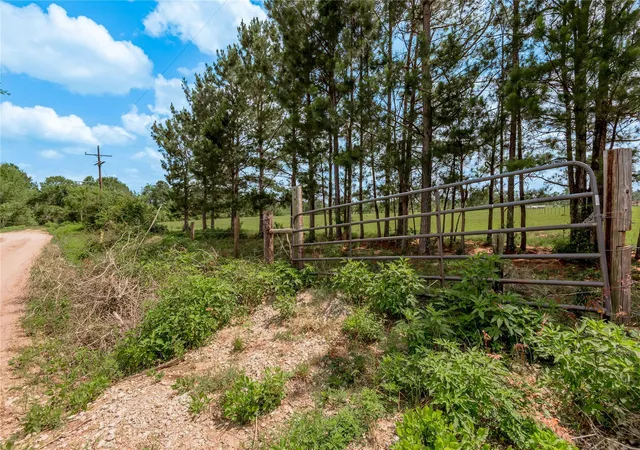 Homes for sale in Groveton, TX | Tbd Turner St, Groveton, TX 75845 | MLS# 79708011