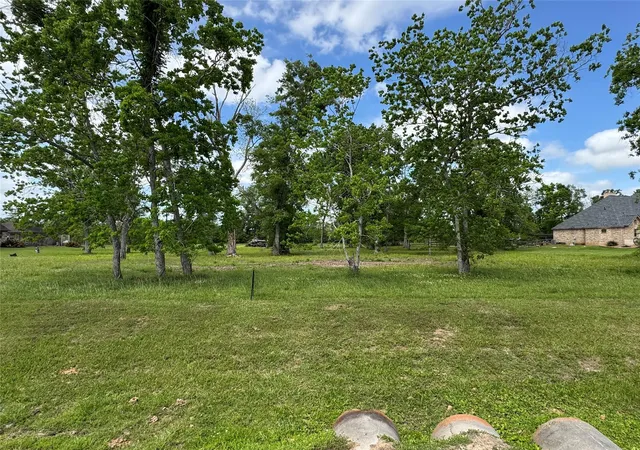 Homes for sale in Rosharon, TX | 17114 Hamill Dr, Rosharon, TX 77583 | MLS# 63097925