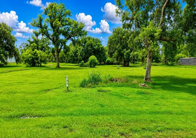 3rd image of 220 Stage Coach Trl, Angleton, TX 77515 | MLS# 16658472