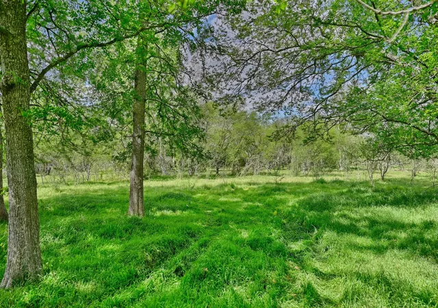 4th image of Tbd Roadrunner Ln, Sealy, TX 77474 | MLS# 98459001