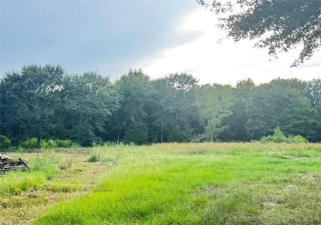 Photo 11 of Land for sale at 640 County Road 306, Cleveland, TX 77327 | MLS# 18943800 | Listing updated on 2026-09-04