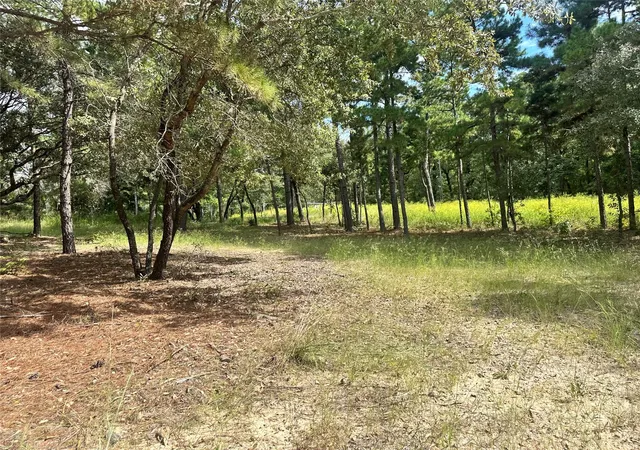 Photo 19 of Land for sale at 3709 Pine Wood Trl, Larue, TX 75770 | MLS# 67960897 | Listing updated on 2026-07-07