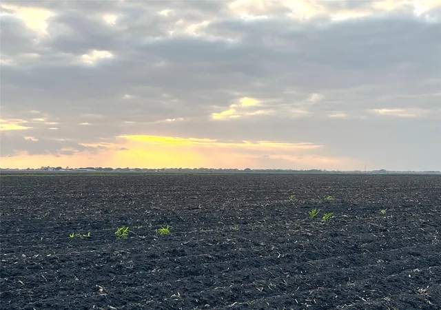 1st image of 00 County Rd 460, El Campo, TX 77437 | MLS# 8094755