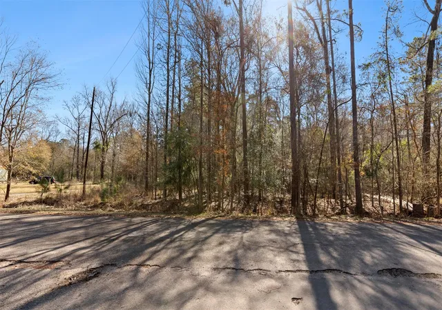 2nd image of 0000 Jack Frost, Onalaska, TX 77360 | MLS# 58768605