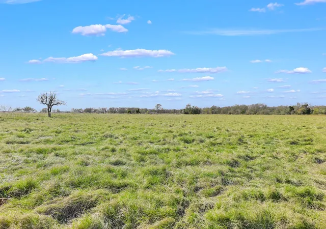 29th image of 3448 Cr 270, Cameron, TX 76520 | MLS# 38127816