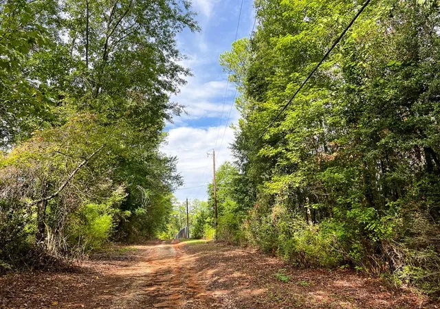 Photo 3 of Land for sale at 7045 State Hwy 75, Huntsville, TX 77340 | MLS# 22962123 | Listing updated on 2025-10-23