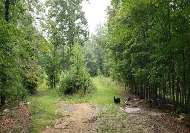 2nd image of 7667 Hwy 101 North, Rockmart, GA 30153 | MLS# 51214183