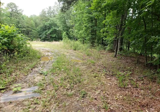 Photo 3 of Land for sale at 7667 Hwy 101 North, Rockmart, GA 30153 | MLS# 51214183 | Listing updated on 2026-06-06