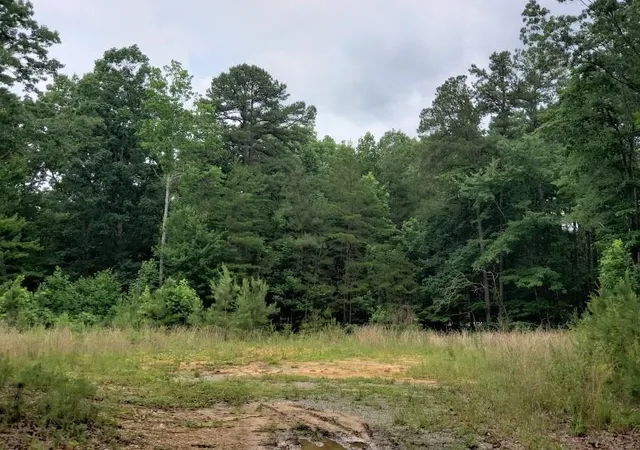 Photo 4 of Land for sale at 7667 Hwy 101 North, Rockmart, GA 30153 | MLS# 51214183 | Listing updated on 2026-06-06