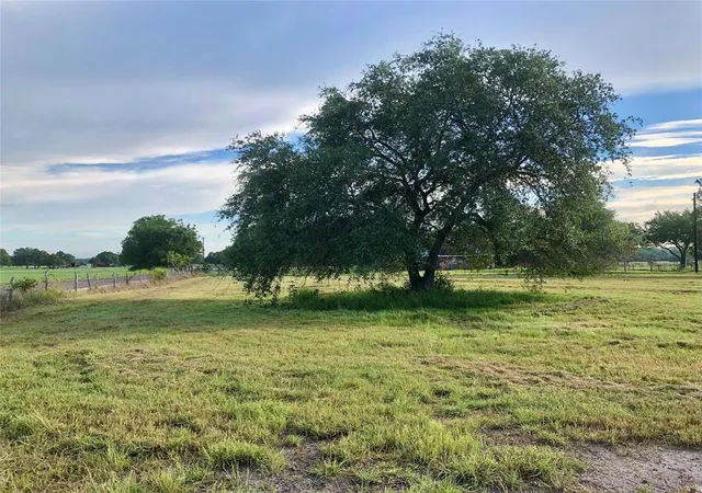 Photo 3 of Land for sale at Lot 1 Pvt 1671, Hallettsville, TX 77964 | MLS# 13130077 | Listing updated on 2026-05-18
