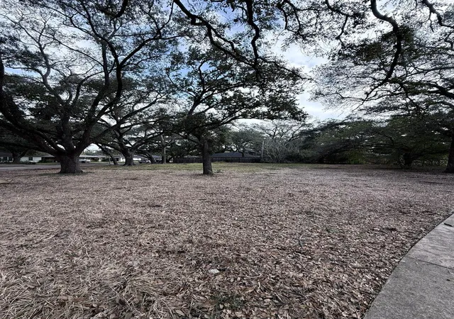 4th image of 4038 Woodshire St, Houston, TX 77025 | MLS# 91802274