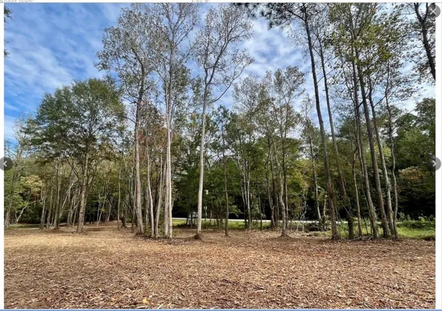 Photo 1 of Land for sale at 10690 Waukegan Rd, Conroe, TX 77306 | MLS# 78511845 | Listing updated on 2026-08-10