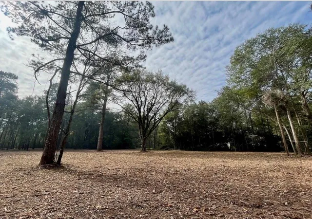 Photo 4 of Land for sale at 10690 Waukegan Rd, Conroe, TX 77306 | MLS# 78511845 | Listing updated on 2026-08-10