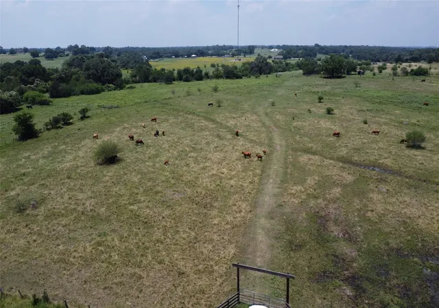 Homes for sale in Hallettsville, TX | Tbd Fm 957, Hallettsville, TX 77964 | MLS# 33269875
