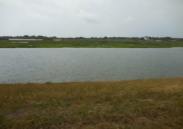 Photo 3 of Land for sale at 0 Matagorda St, Matagorda, TX 77457 | MLS# 17056492 | Listing updated on 2026-04-16