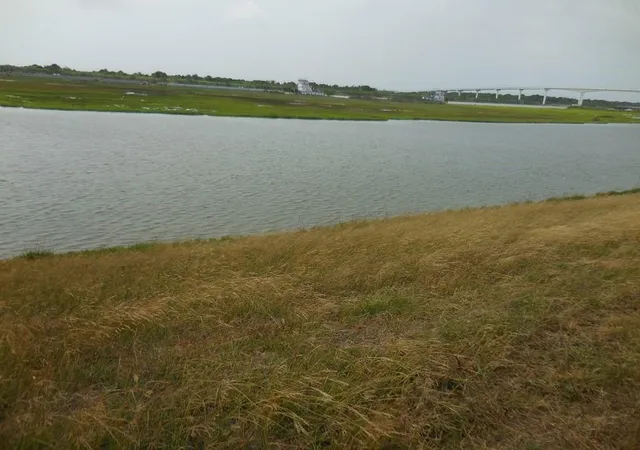 Photo 3 of Land for sale at 0 Matagorda St, Matagorda, TX 77457 | MLS# 17056492 | Listing updated on 2026-04-16