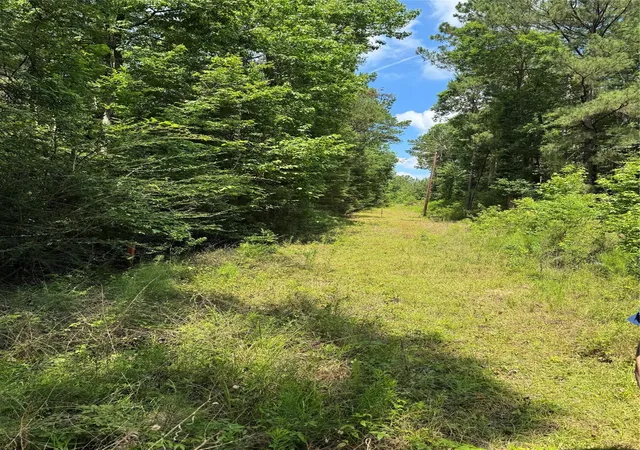 19th image of 3095 County Road 1087, Wiergate, TX 75977 | MLS# 45154213