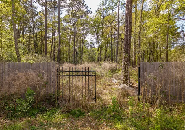 10th image of 65 Ash Pl, New Caney, TX 77357 | MLS# 79033542