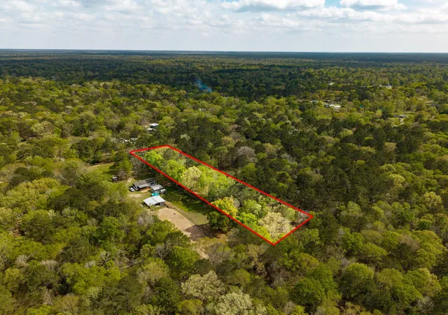 Photo 3 of Land for sale at 65 Ash Pl, New Caney, TX 77357 | MLS# 79033542 | Listing updated on 2026-07-30