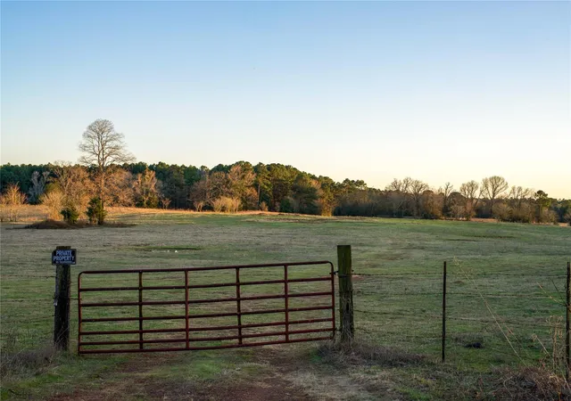 Homes for sale in Henderson, TX | 00 County Road 453, Henderson, TX 75654 | MLS# 28965491