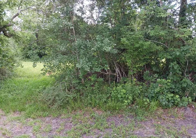 Photo 2 of Sale Pending at 00 Cahill, Angleton, TX 77515 | MLS# 40956516 | Listing updated on 2026-10-07