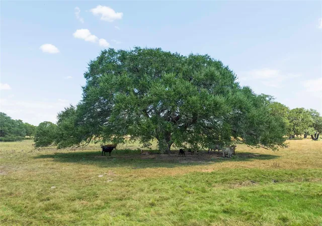 Photo 4 of Land for sale at 265 Boulton Crk Rd, Muldoon, TX 78949 | MLS# 17901833 | Listing updated on 2026-09-11