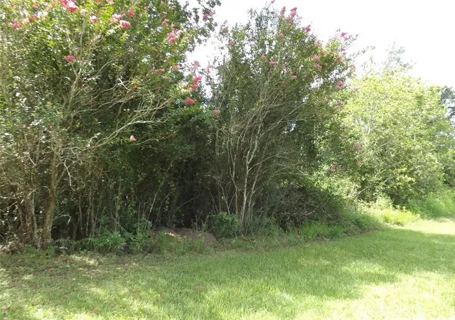 1st image of Tbd Willow Rd, Wallis, TX 77485 | MLS# 85825612