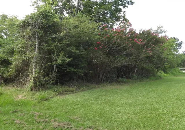 2nd image of Tbd Willow Rd, Wallis, TX 77485 | MLS# 85825612