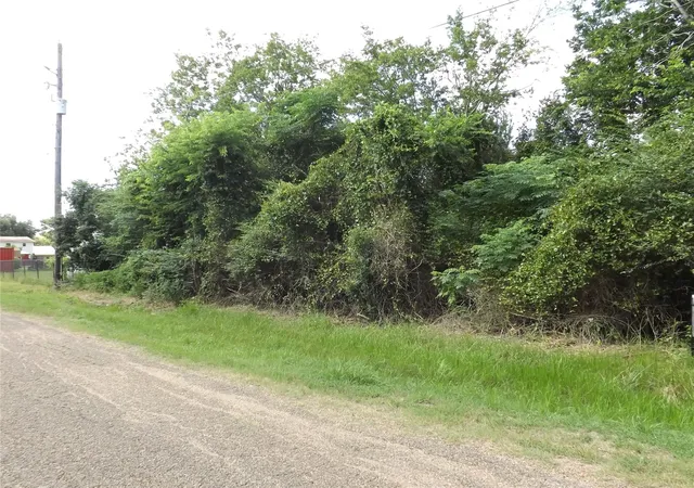 7th image of Tbd Willow Rd, Wallis, TX 77485 | MLS# 85825612