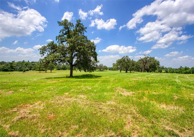 4th image of 1723 County Road 305, Rockdale, TX 76567 | MLS# 8749066