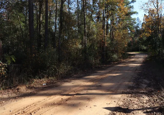 Photo 1 of Land for sale at 0 Mallard Dr, Coldspring, TX 77331 | MLS# 34640630 | Listing updated on 2026-04-27