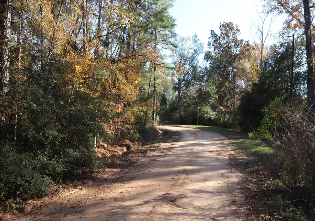 Photo 2 of Land for sale at 0 Mallard Dr, Coldspring, TX 77331 | MLS# 34640630 | Listing updated on 2026-04-27