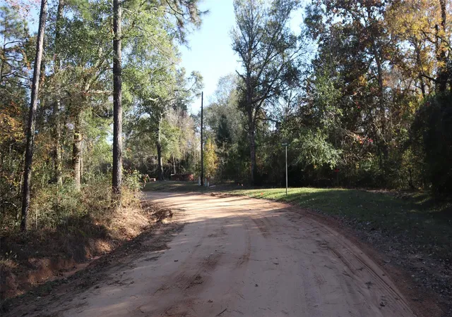 Photo 2 of Land for sale at 0 Mallard Dr, Coldspring, TX 77331 | MLS# 34640630 | Listing updated on 2026-04-27