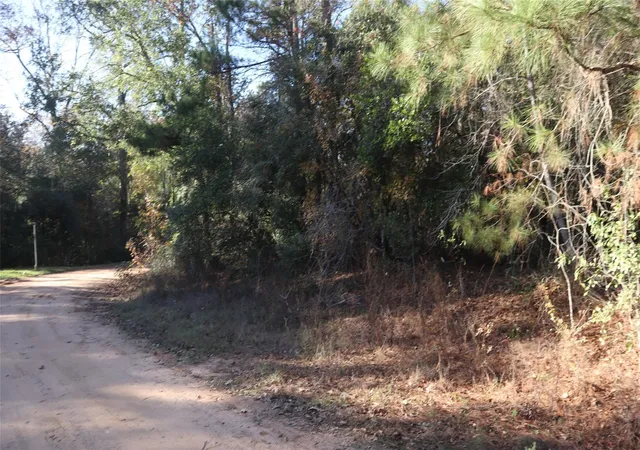 Photo 3 of Land for sale at 0 Mallard Dr, Coldspring, TX 77331 | MLS# 34640630 | Listing updated on 2026-04-27