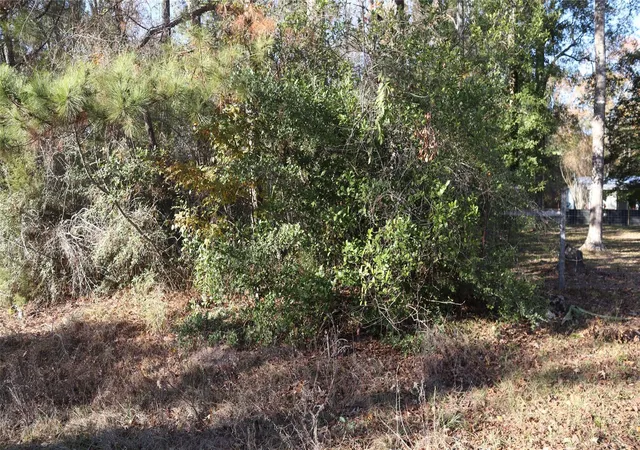 Photo 4 of Land for sale at 0 Mallard Dr, Coldspring, TX 77331 | MLS# 34640630 | Listing updated on 2026-04-27
