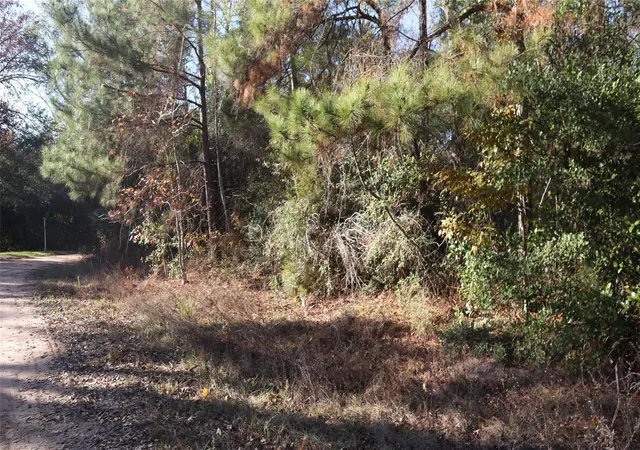 Photo 6 of Land for sale at 0 Mallard Dr, Coldspring, TX 77331 | MLS# 34640630 | Listing updated on 2026-04-27