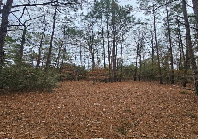 1st image of 263 Wishing Trl, Livingston, TX 77351 | MLS# 95175078