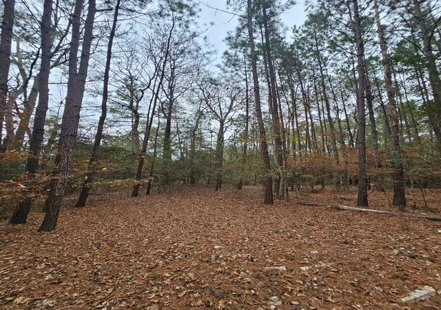 2nd image of 263 Wishing Trl, Livingston, TX 77351 | MLS# 95175078